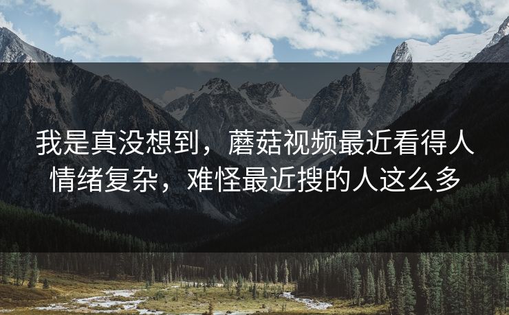 我是真没想到，蘑菇视频最近看得人情绪复杂，难怪最近搜的人这么多