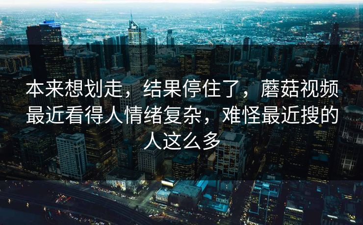 本来想划走，结果停住了，蘑菇视频最近看得人情绪复杂，难怪最近搜的人这么多