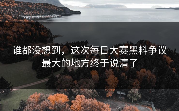 谁都没想到，这次每日大赛黑料争议最大的地方终于说清了