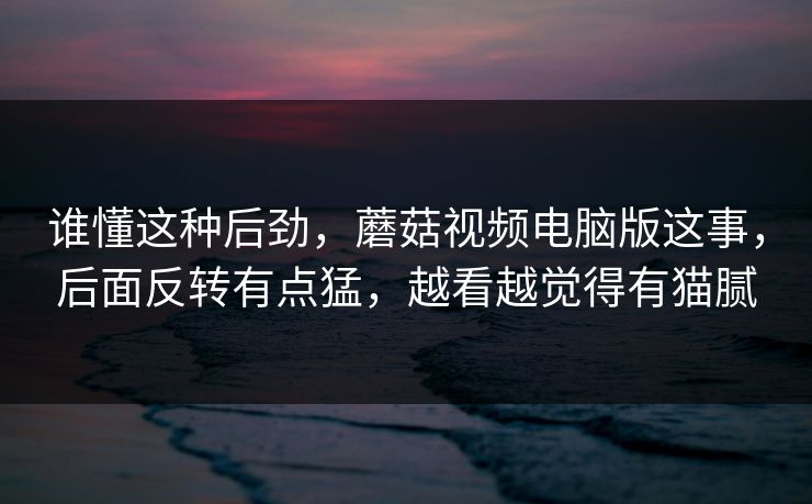 谁懂这种后劲，蘑菇视频电脑版这事，后面反转有点猛，越看越觉得有猫腻