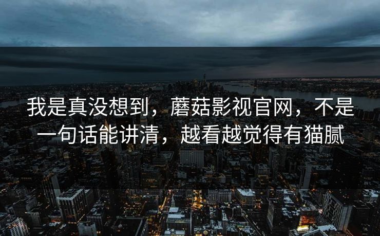 我是真没想到，蘑菇影视官网，不是一句话能讲清，越看越觉得有猫腻