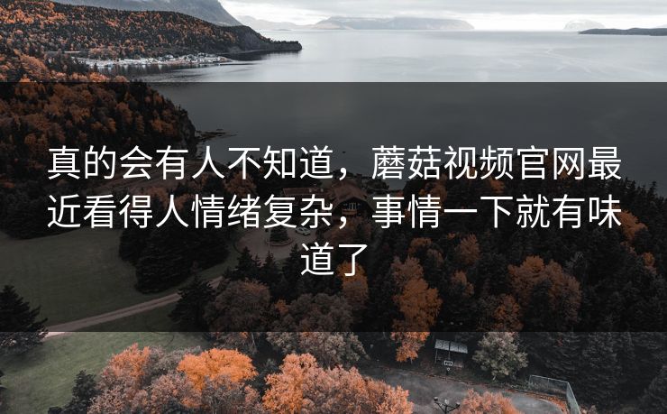 真的会有人不知道，蘑菇视频官网最近看得人情绪复杂，事情一下就有味道了