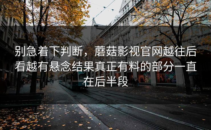 别急着下判断，蘑菇影视官网越往后看越有悬念结果真正有料的部分一直在后半段