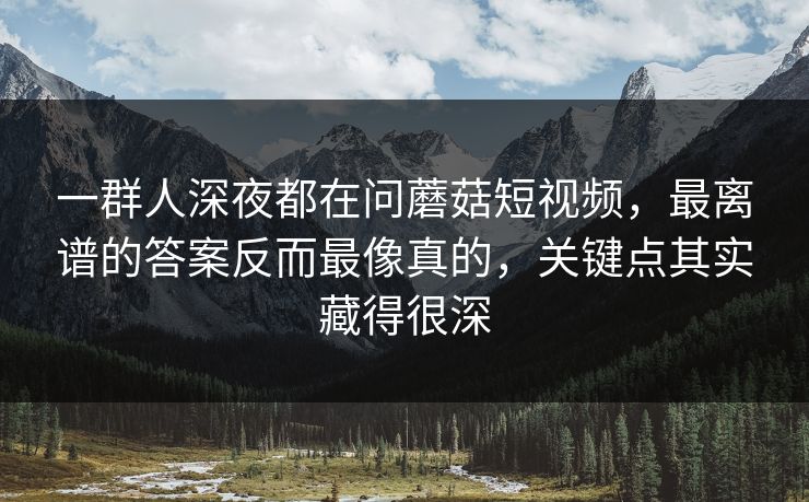 一群人深夜都在问蘑菇短视频，最离谱的答案反而最像真的，关键点其实藏得很深