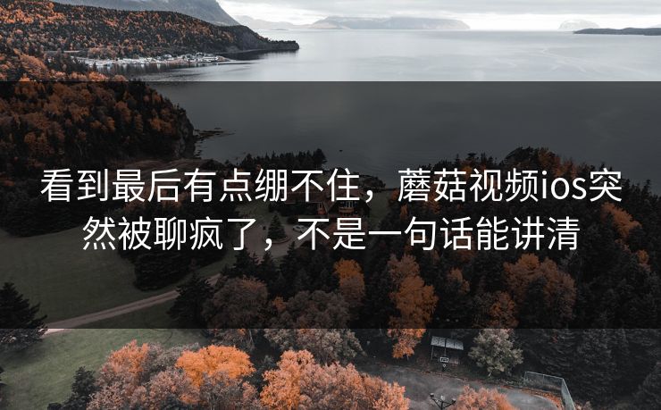 看到最后有点绷不住，蘑菇视频ios突然被聊疯了，不是一句话能讲清