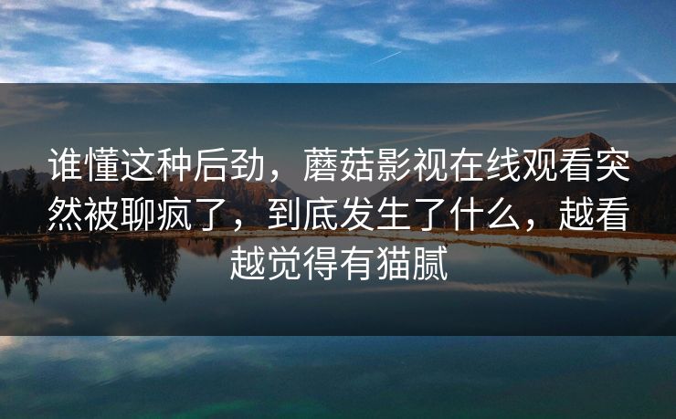 谁懂这种后劲，蘑菇影视在线观看突然被聊疯了，到底发生了什么，越看越觉得有猫腻