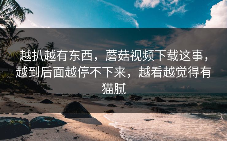 越扒越有东西，蘑菇视频下载这事，越到后面越停不下来，越看越觉得有猫腻