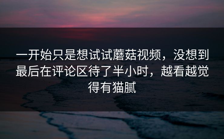 一开始只是想试试蘑菇视频，没想到最后在评论区待了半小时，越看越觉得有猫腻