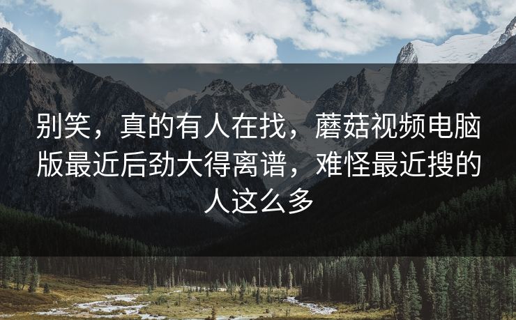 别笑，真的有人在找，蘑菇视频电脑版最近后劲大得离谱，难怪最近搜的人这么多