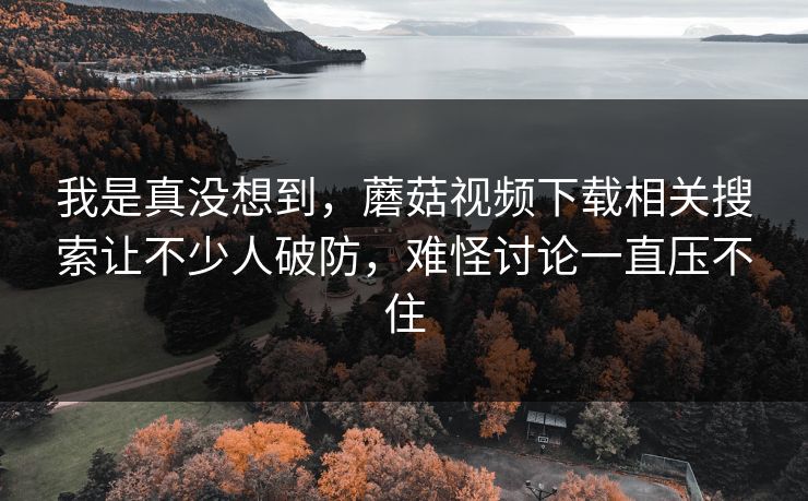我是真没想到，蘑菇视频下载相关搜索让不少人破防，难怪讨论一直压不住