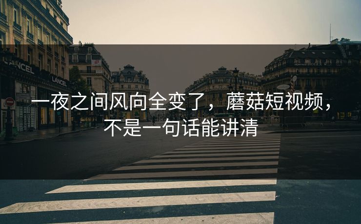 一夜之间风向全变了，蘑菇短视频，不是一句话能讲清