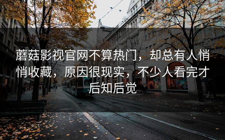 蘑菇影视官网不算热门，却总有人悄悄收藏，原因很现实，不少人看完才后知后觉