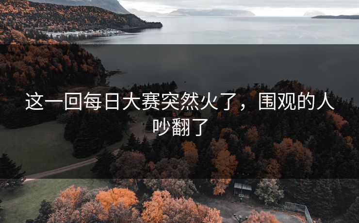 这一回每日大赛突然火了，围观的人吵翻了