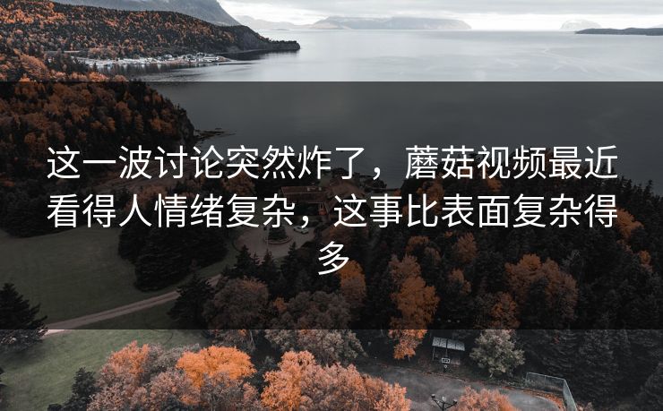 这一波讨论突然炸了，蘑菇视频最近看得人情绪复杂，这事比表面复杂得多