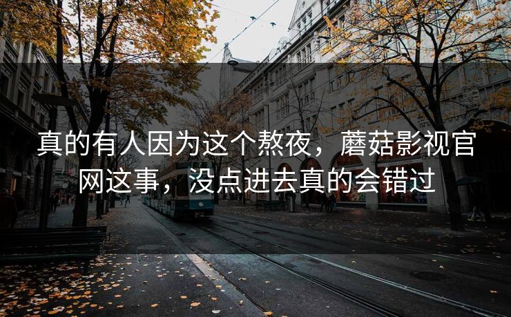 真的有人因为这个熬夜，蘑菇影视官网这事，没点进去真的会错过