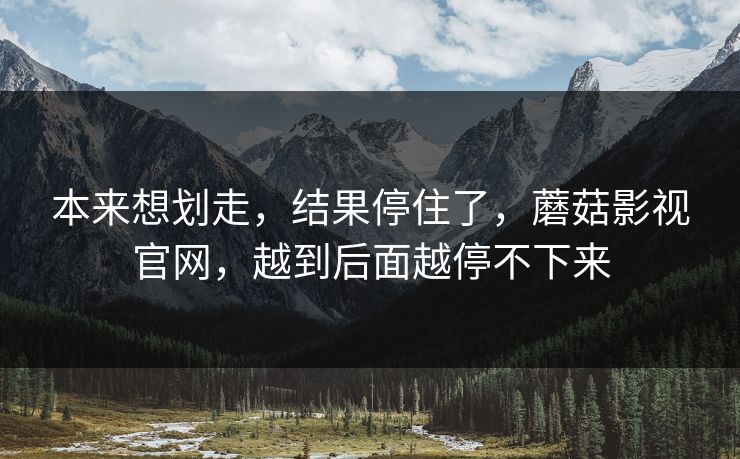 本来想划走，结果停住了，蘑菇影视官网，越到后面越停不下来